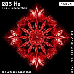 285 Hz - Body Detox