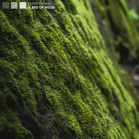 A Bed of Moss