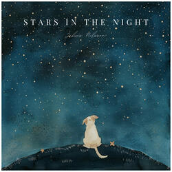 Stars In The Night