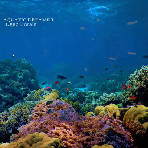 Deep Corals