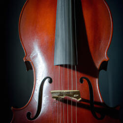 Serenade in Study