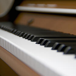 Nocturne of the Mind (1)