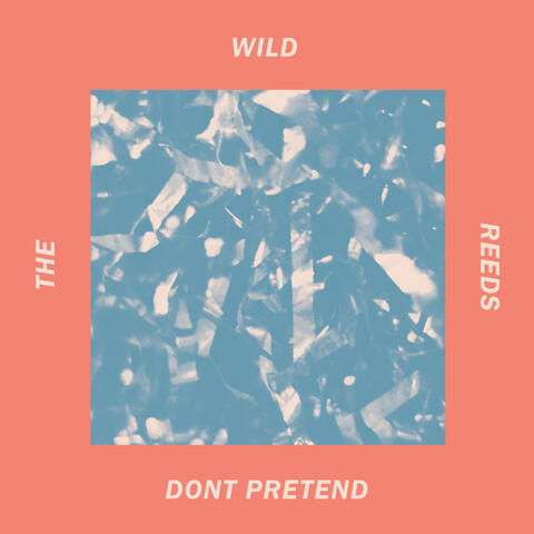 Don't Pretend