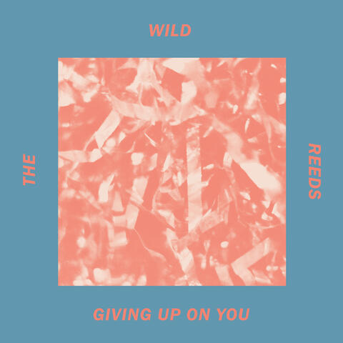 Giving Up On You
