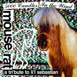 5,000 Candles In The Wind (Bye Bye Li'l Sebastian)