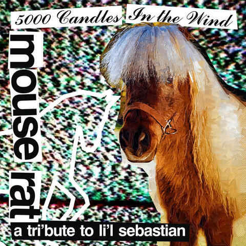5,000 Candles In The Wind (Bye Bye Li'l Sebastian)