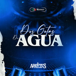 Dos Gotas De Agua (En vivo)