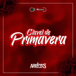 Clavel De Primavera  (En Vivo)