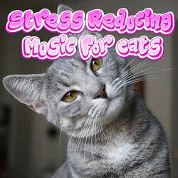 Sounds for Kitten