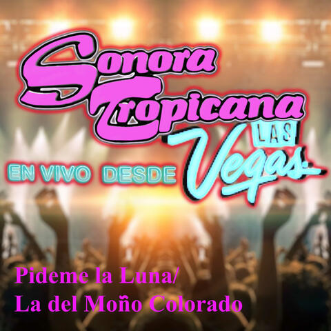 Pideme la Luna (La del Moño Colorado) [En Vivo desde Las Vegas]