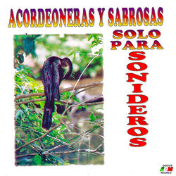 Cumbia Parrandera