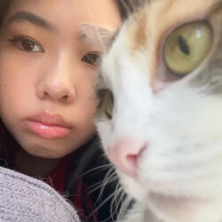 someone else (sped up)