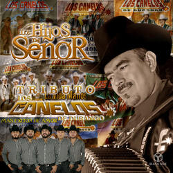 Los Carros Empolvados