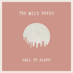 Fall To Sleep