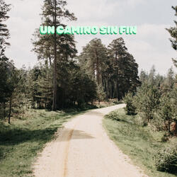 Un Camino Sin Fin