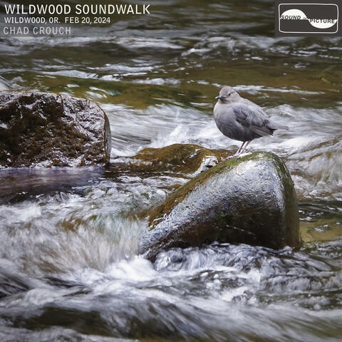 Wildwood Soundwalk