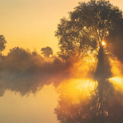 Morning Meditation