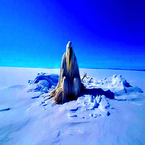 Blue Erosion