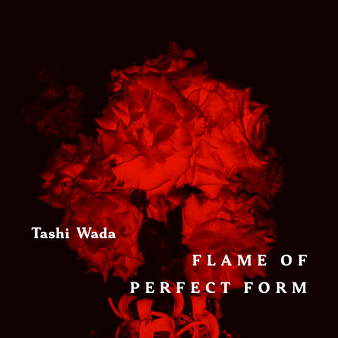Flame of Perfect Form