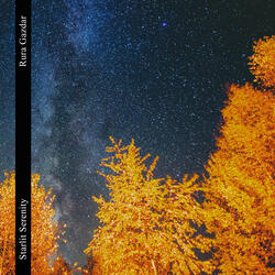 Starlit Serenity