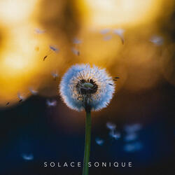 Soul