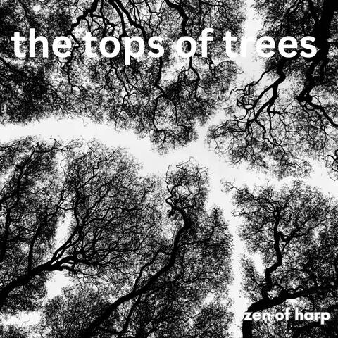 The Tops of Trees