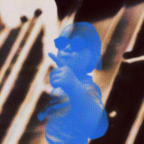 colour photo