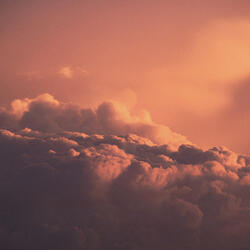 Vivid Pink Dreams