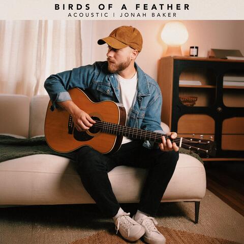 Birds of a Feather
