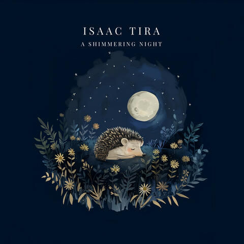 A Shimmering Night