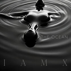 The Ocean