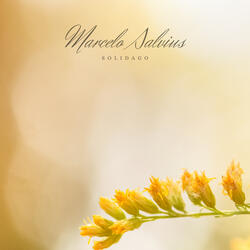 Solidago