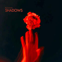 Shadows