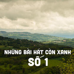 Màu Hoa Đỏ