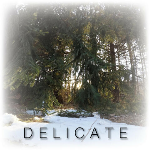 Delicate