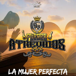 La Mujer Perfecta