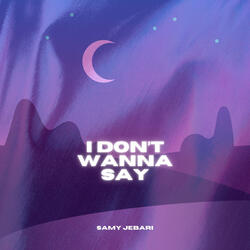 I DON'T WANNA SAY