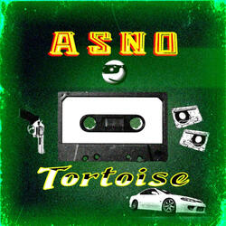 Tortoise