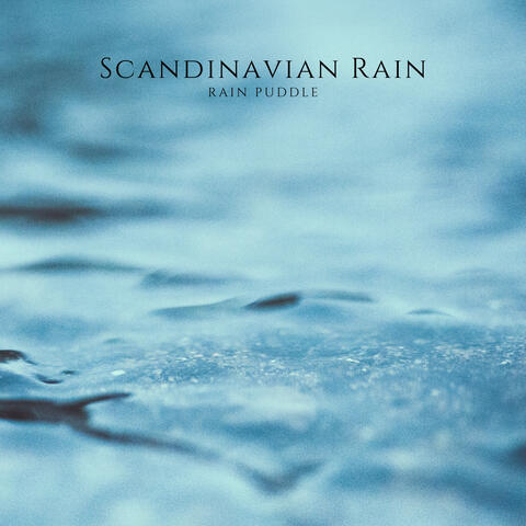 Rain Puddle
