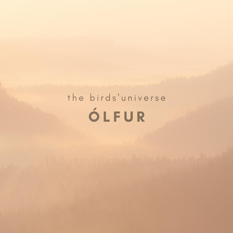 The Birds' Universe