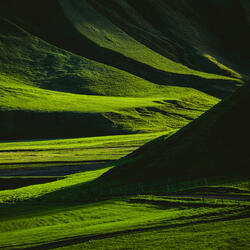 Morning Light