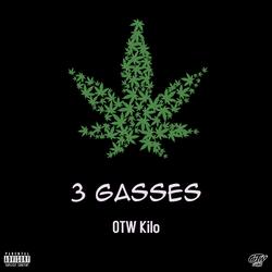 3 gasses