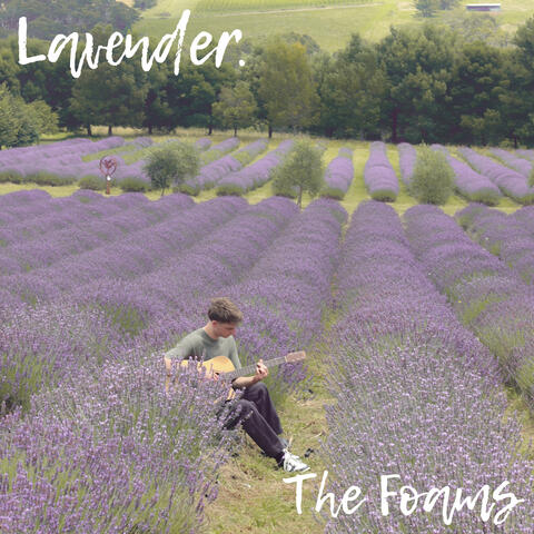 Lavender