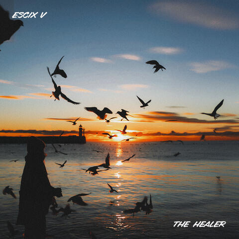 The Healer