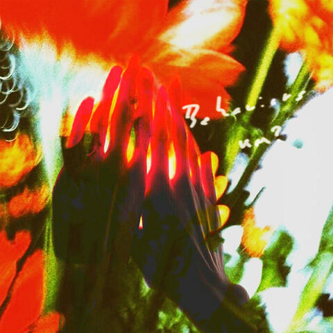 behaviors