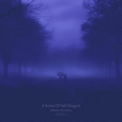 a sense of self disgust