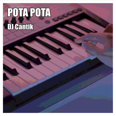 Pota Pota