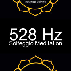 528 Hz DNA Repair Harmonies