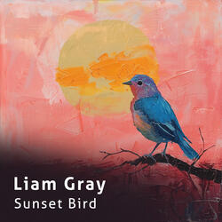 Sunset Bird