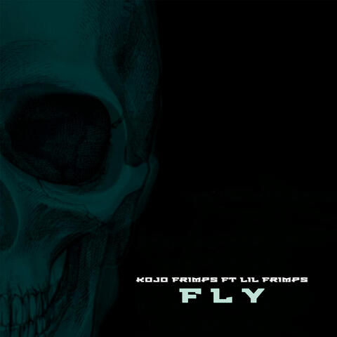 Fly